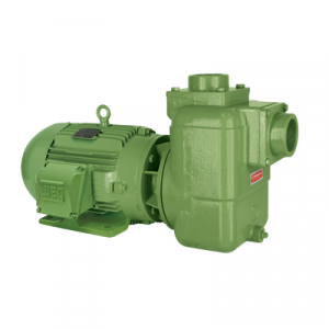 Motobomba Centrífuga Autoaspirante Schneider BCA-41 Motobomba Centrífuga Autoaspirante Schneider BCA-41