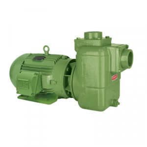 Motobomba Centrífuga Autoaspirante Schneider BCA-42 Motobomba Centrífuga Autoaspirante Schneider BCA-42