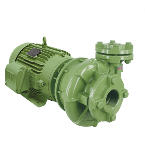 Motobomba Vórtex Schneider MBV-22 Motobomba Vórtex Schneider MBV-22