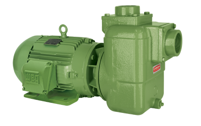Motobomba Centrífuga Autoaspirante Schneider BCA-42 Motobomba Centrífuga Autoaspirante Schneider BCA-42