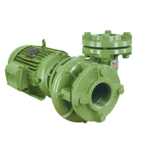 Motobomba Centrífuga Monoestágio Schneider MSA-21 R-F Motobomba Centrífuga Monoestágio Schneider MSA-21 R-F