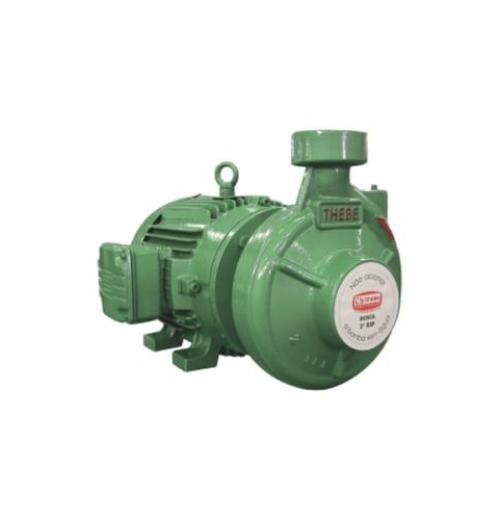 Motobomba Centrífuga Monoestágio Thebe RL-20B Motobomba Centrífuga Monoestágio Thebe RL-20B