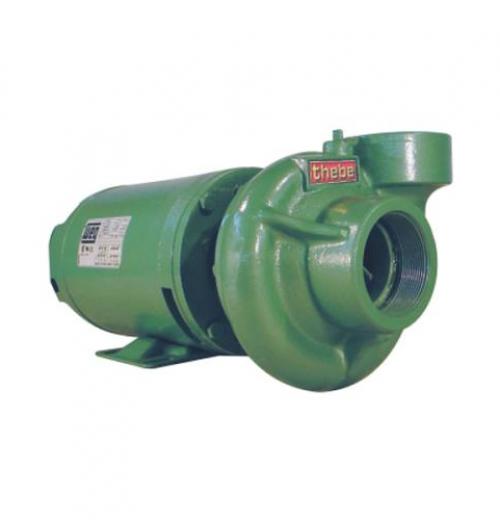 Motobomba Centrífuga Monoestágio Thebe THL-13- THLI-13 Motobomba Centrífuga Monoestágio Thebe THL-13- THLI-13
